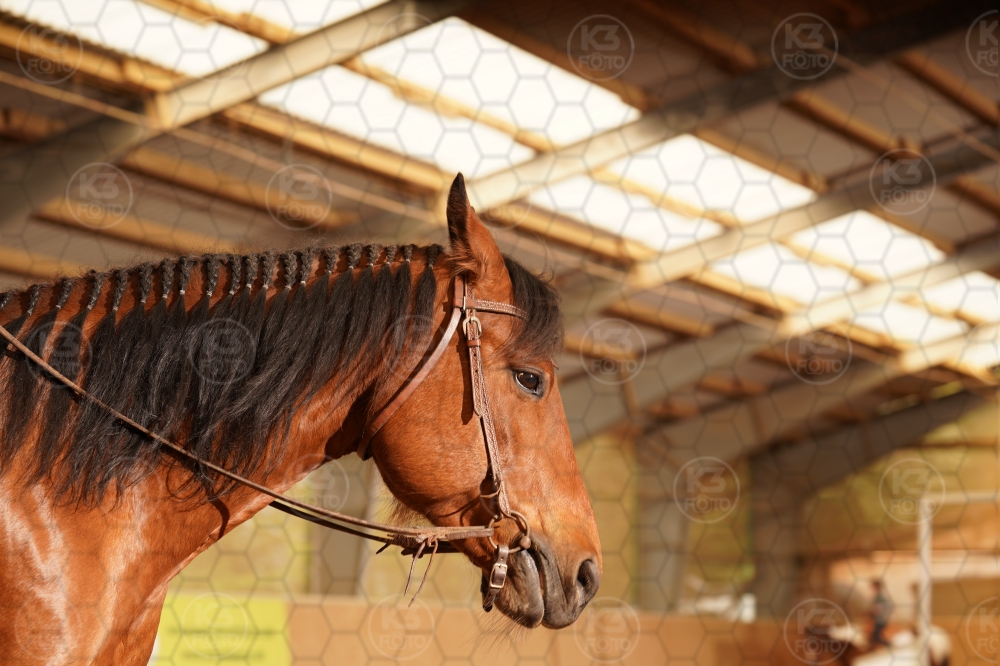 s_A9_01743.jpg